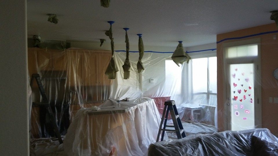 12794496_979827068769718_639865333905152930_n